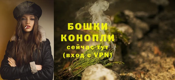 ПСИЛОЦИБИНОВЫЕ ГРИБЫ Дмитров