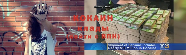 ПСИЛОЦИБИНОВЫЕ ГРИБЫ Дмитров