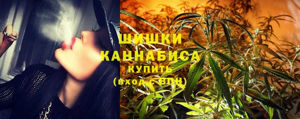 ПСИЛОЦИБИНОВЫЕ ГРИБЫ Дмитров
