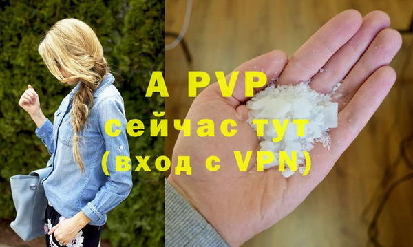 ПСИЛОЦИБИНОВЫЕ ГРИБЫ Дмитров