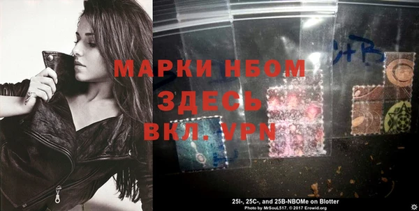 ПСИЛОЦИБИНОВЫЕ ГРИБЫ Дмитров