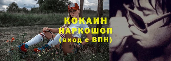 ПСИЛОЦИБИНОВЫЕ ГРИБЫ Дмитров
